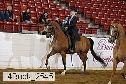 14buck_2545 proof