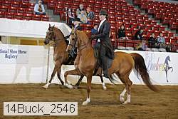 14buck_2546 proof