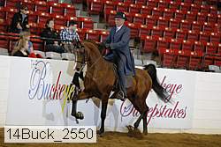 14buck_2550 proof