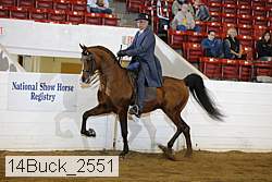 14buck_2551 proof