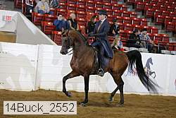 14buck_2552 proof