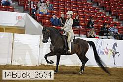 14buck_2554 proof