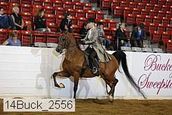 14buck_2556 proof