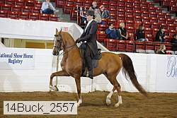 14buck_2557 proof