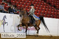 14buck_2558 proof