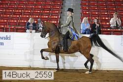 14buck_2559 proof