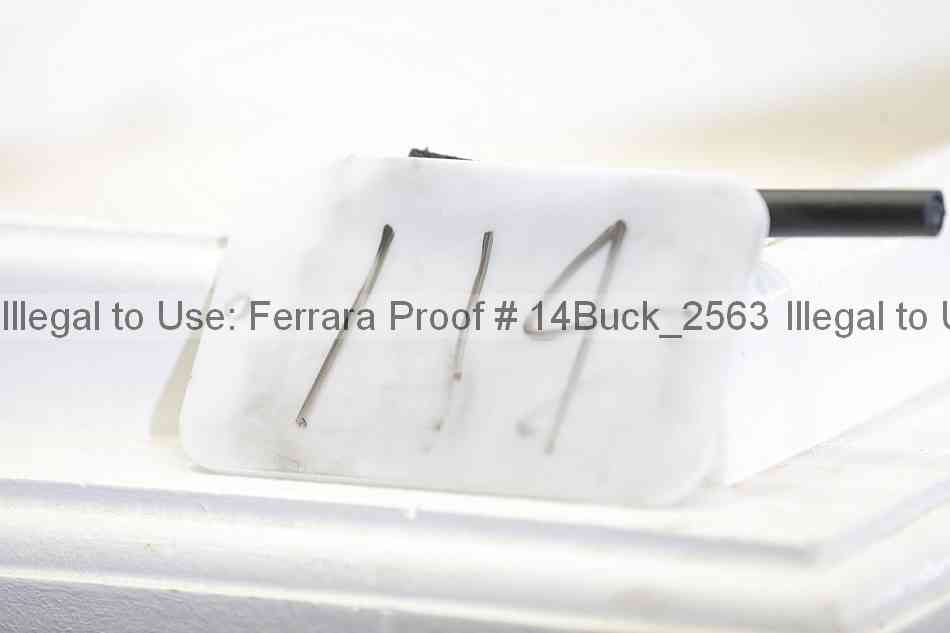 Proof 14buck_2563