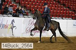 14buck_2564 proof