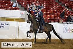 14buck_2565 proof