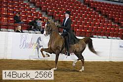 14buck_2566 proof