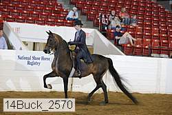 14buck_2570 proof