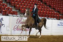 14buck_2571 proof