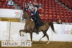 14buck_2572 proof