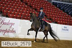 14buck_2579 proof