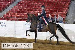 14buck_2581 proof