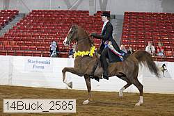 14buck_2585 proof
