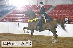 14buck_2586 proof