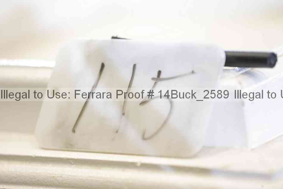 Proof 14buck_2589