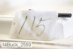 14buck_2589 proof