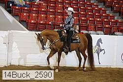 14buck_2590 proof
