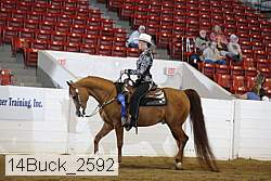 14buck_2592 proof