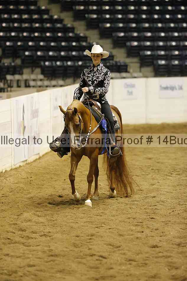 Proof 14buck_2593