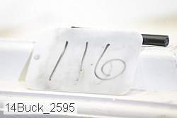 14buck_2595 proof