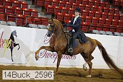 14buck_2596 proof