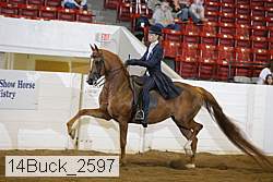 14buck_2597 proof
