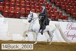 14buck_2600 proof