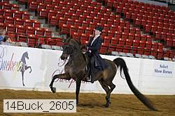 14buck_2605 proof