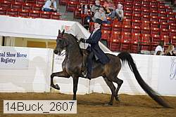 14buck_2607 proof