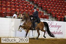 14buck_2609 proof