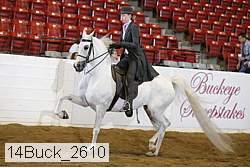 14buck_2610 proof