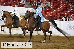 14buck_2612 proof
