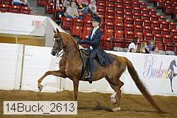 14buck_2613 proof