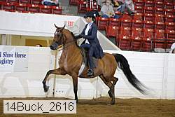 14buck_2616 proof