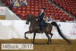 14buck_2617 proof