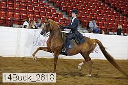 14buck_2618 proof