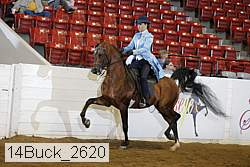 14buck_2620 proof