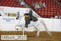 14buck_2621 proof