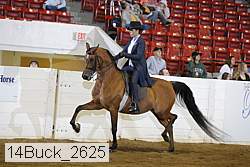 14buck_2625 proof