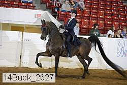 14buck_2627 proof