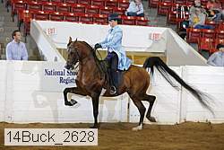 14buck_2628 proof