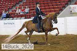 14buck_2629 proof