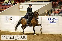 14buck_2630 proof