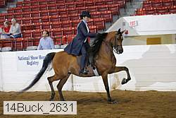 14buck_2631 proof