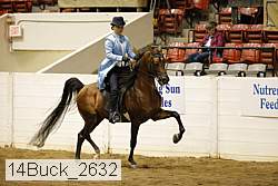 14buck_2632 proof