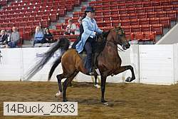 14buck_2633 proof