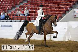 14buck_2635 proof